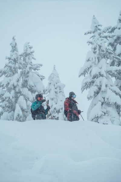 穿着黑色夹克的人在雪地上骑着黑色和红色的滑雪板